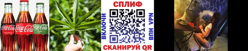 Cannafood конопля  Грайворон 