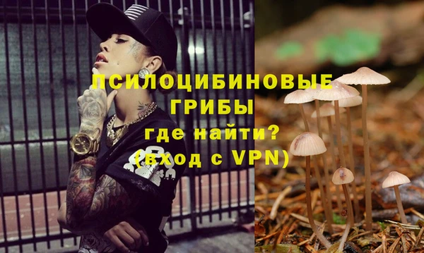 прущая мука Балахна